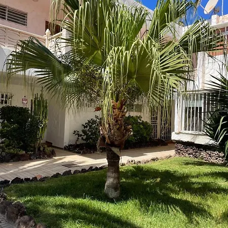 Apartment Oasis Relax